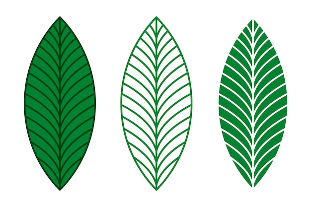 Elegante conjunto de vectores de hojas verdes Silueta e ilustración de hoja de contorno