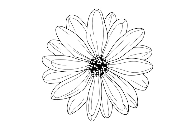 Elegante dibujo de línea de flores Ilustración vectorial minimalista de diseño floral