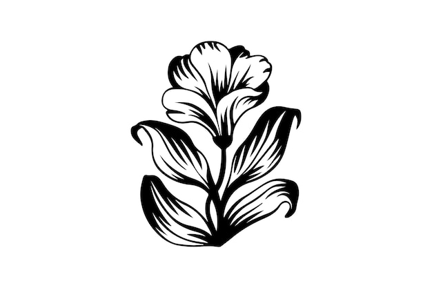 Elegante dibujo de línea de flores Ilustración vectorial minimalista de diseño floral