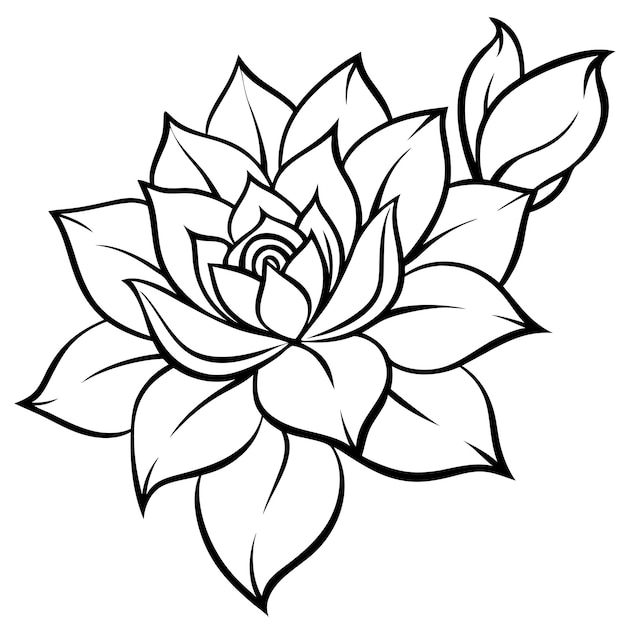 Elegante dibujo de líneas de arte de rosas