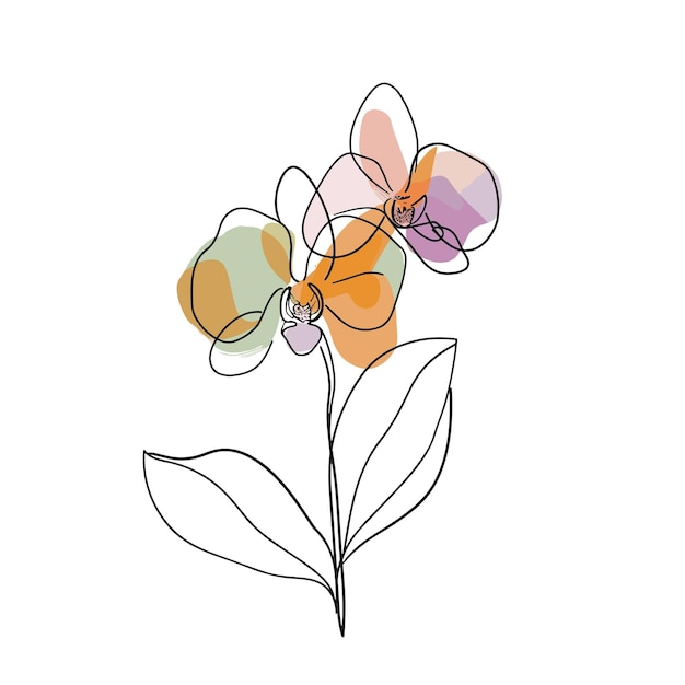 Elegante dibujo de líneas de una ilustración de una flor de orquídea para invitaciones y tarjetas