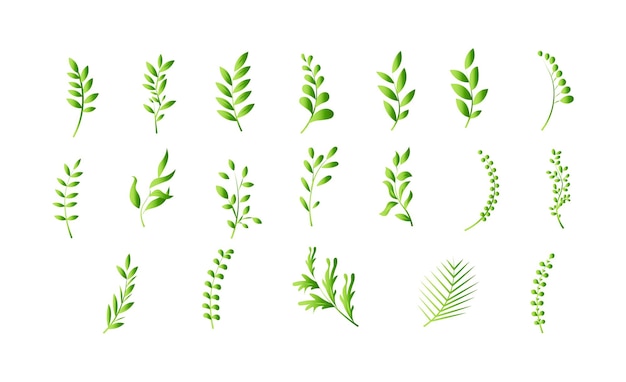 Elegante diseño de conjunto de hojas verdes de varias formas.