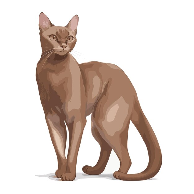 Vector elegante diseño de gato birmano totalmente editable dibujo vectorial listo para la personalización