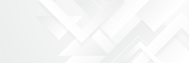 elegante estandarte blanco abstracto con líneas brillantes