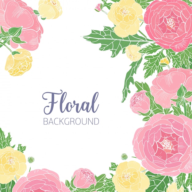 Elegante fondo cuadrado con ranúnculo floreciente rosa y amarillo y lugar para el texto en el centro.