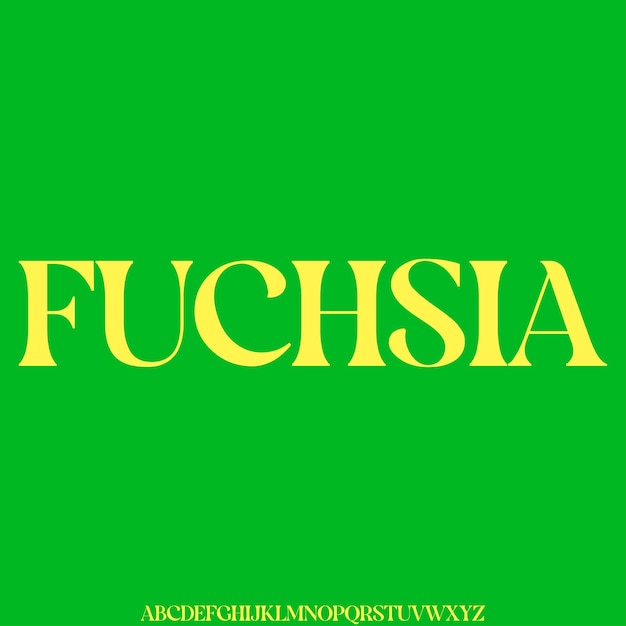 Elegante y fuerte fuente de visualización decorativa vectorial estilo de tipografía curva de moda creativa illustrati