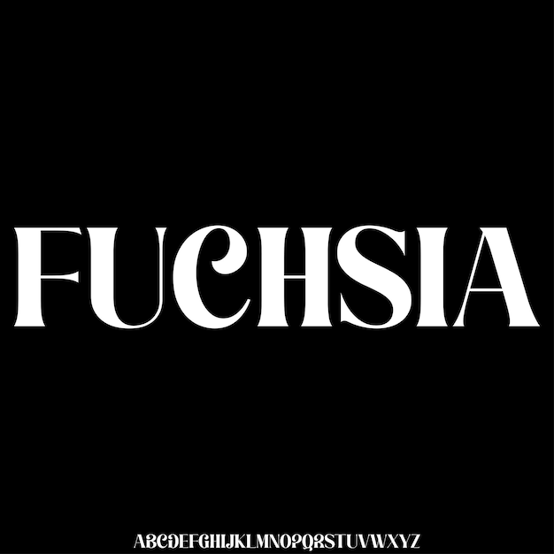 Elegante y fuerte fuente de visualización decorativa vectorial estilo de tipografía curva de moda creativa illustrati