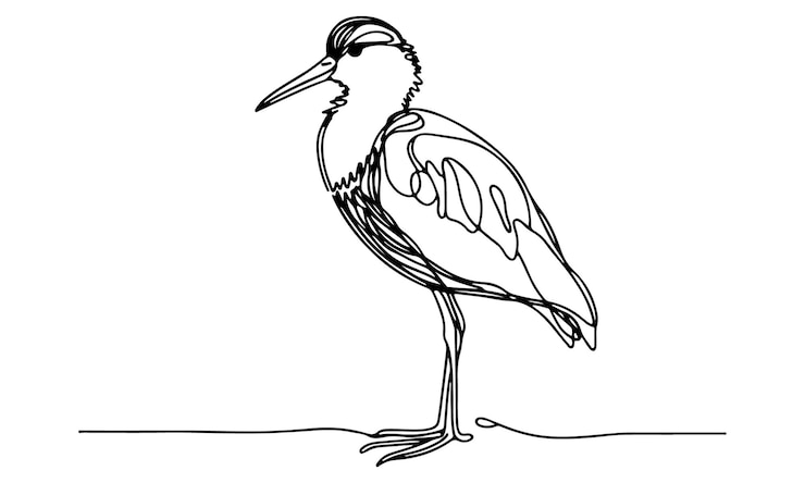 Vector la elegante garza de cara blanca, una aves de los humedales