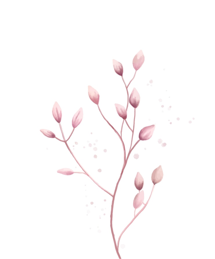 Vector elegante ilustración botánica, flor de pradera rosa en estilo acuarela, decoraciones de boda.