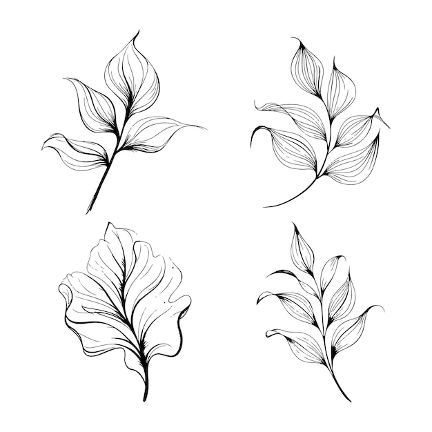 Elegante línea botánica arte hojas estilo minimalista