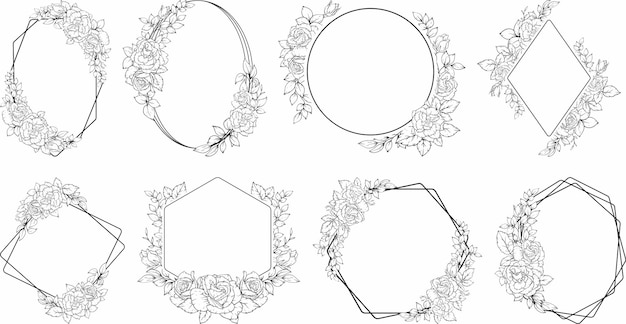 Elegante marco floral Vector Set Fronteras botánicas y marcos florales decorativos para invitaciones