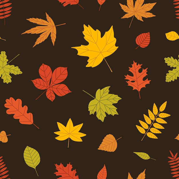 Elegante patrón sin costuras estacional con follaje otoñal de árboles forestales sobre fondo negro. Ilustración decorativa botánica multicolor en estilo plano para papel de regalo, papel tapiz, estampado textil.