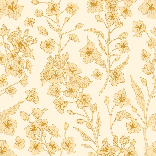 Elegante patrón sin costuras de planta de colza o flores de canola. Textura floral repetible sin fin en estilo retro. Diseño de telón de fondo para la impresión. Ilustración vectorial detallada monocromática dibujada a mano.