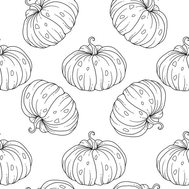 Elegante patrón floral sin costuras con calabazas de contorno Fondo de Acción de Gracias Línea Arte Calabaza