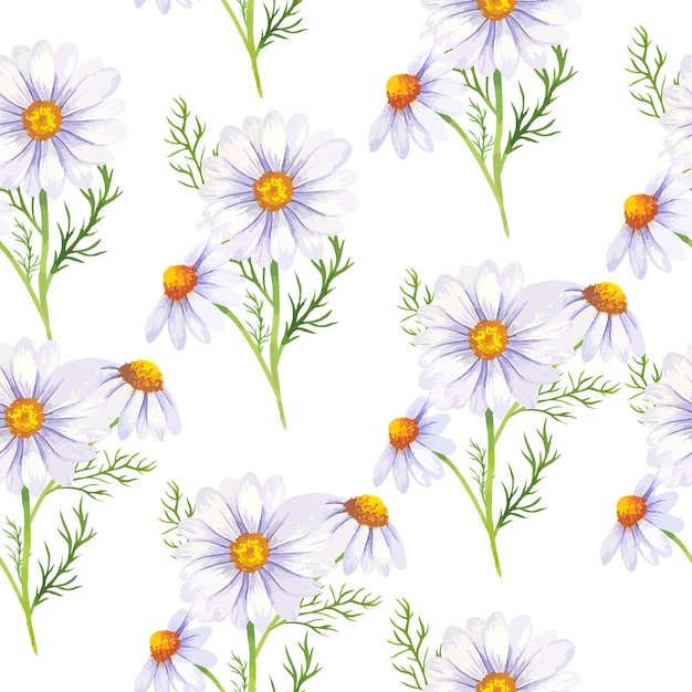 Elegante patrón floral transparente con flores de margarita acuarela y vegetación