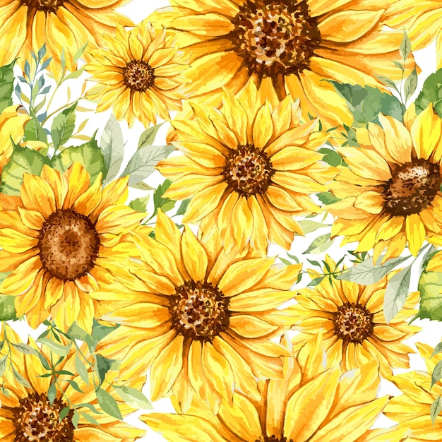 Elegante patrón floral transparente con girasoles acuarelas y vegetación