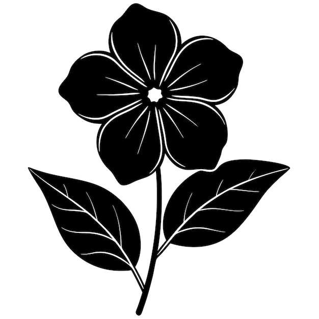 Elegante silueta de la flor de la vinca negra