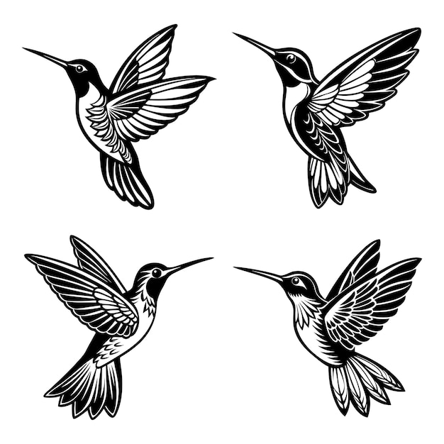 Elegante silueta y logotipo de colibrí diseña impresionantes íconos de pájaros en blanco y negro