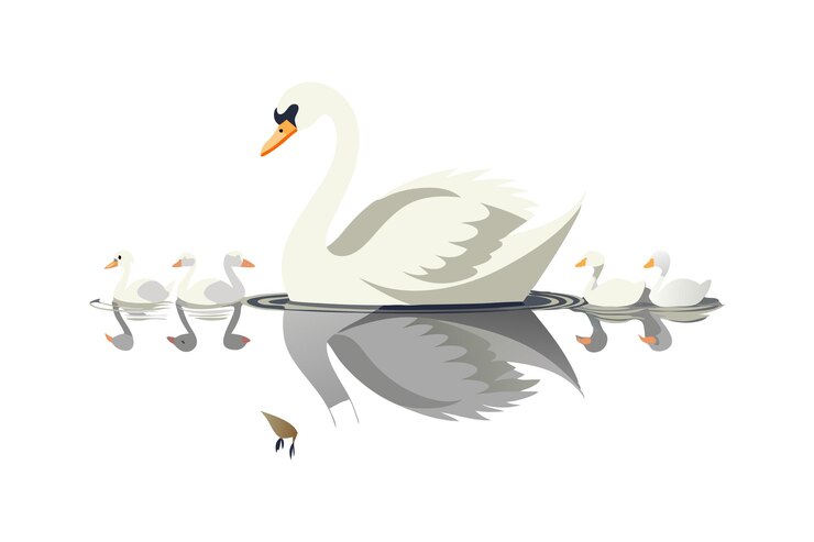 Vector elegantes cisnes y cisnes nadando en aguas serenas con reflejos
