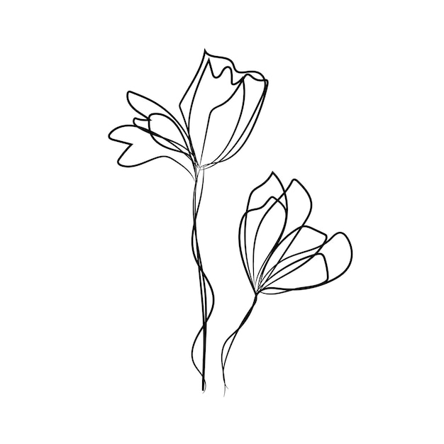 Elegantes flores de arte de línea
