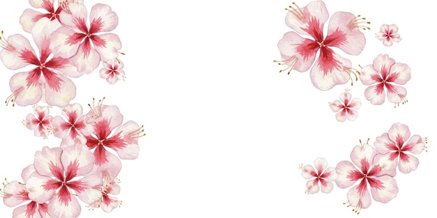 Elegantes flores de hibisco de acuarela en tonos rosados y rojos suaves Clipart floral perfecto para diseños de bodas invitaciones scrapbooking o proyectos con temas tropicales Aislados sobre fondo blanco