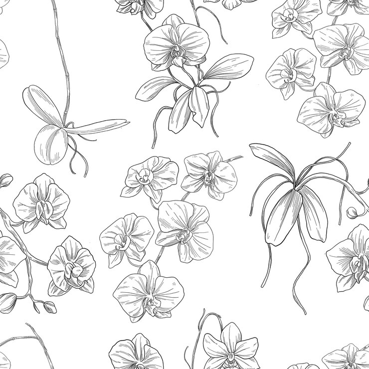 Vector elegantes flores de orquídeas dibujadas a mano