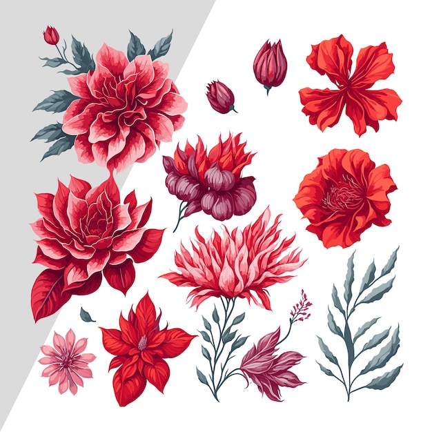 Elegantes ilustraciones vectoriales de rosas rojas para impresiones y plantillas de camisetas elegantes