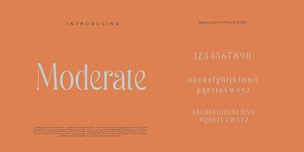 Elegantes letras del alfabeto fuente y número letras clásicas diseños de moda minimalista modo de tipografía