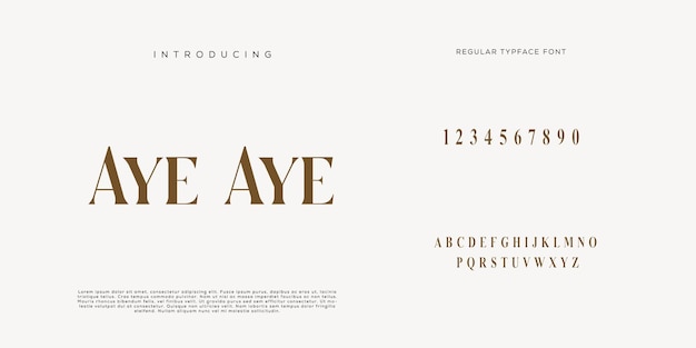 Elegantes letras del alfabeto fuente y número letras clásicas diseños de moda minimalista modo de tipografía