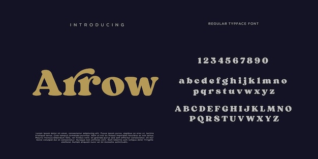 Elegantes letras del alfabeto fuente y número letras clásicas diseños de moda minimalista modo de tipografía