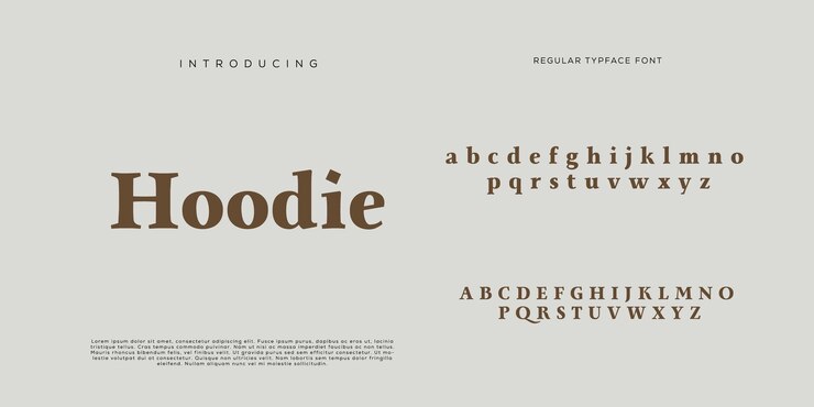 Elegantes letras del alfabeto fuente y número letras clásicas diseños de moda minimalista modo de tipografía