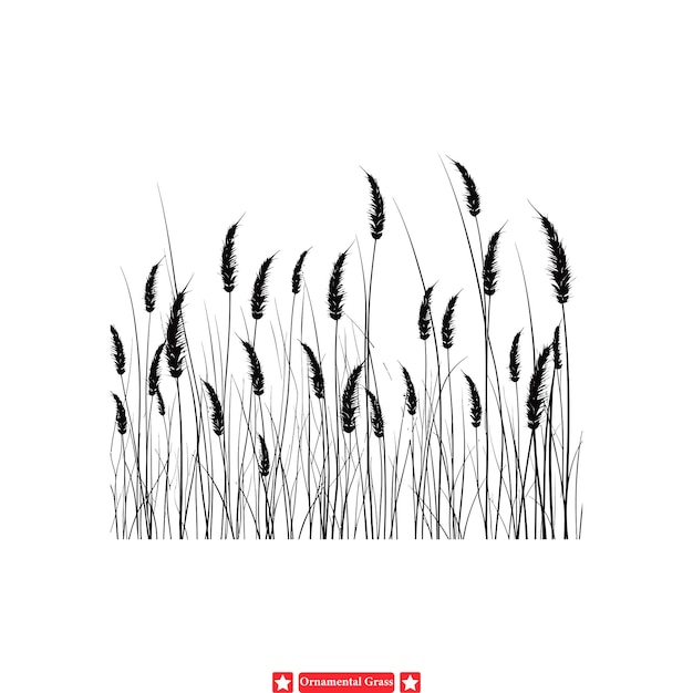 Elegantes siluetas vectoriales de hierba ornamental belleza botánica para proyectos de diseño