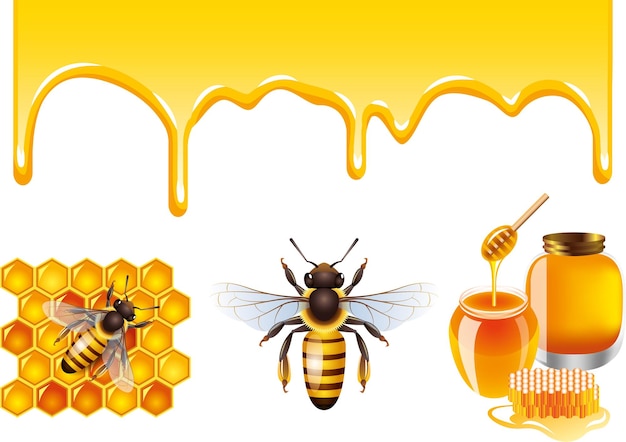 Elemento de la abeja melífera