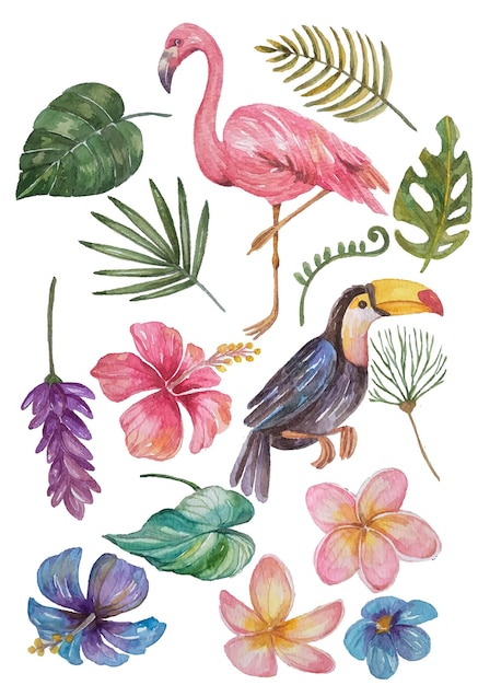 elemento de acuarela floral y de fauna tropical