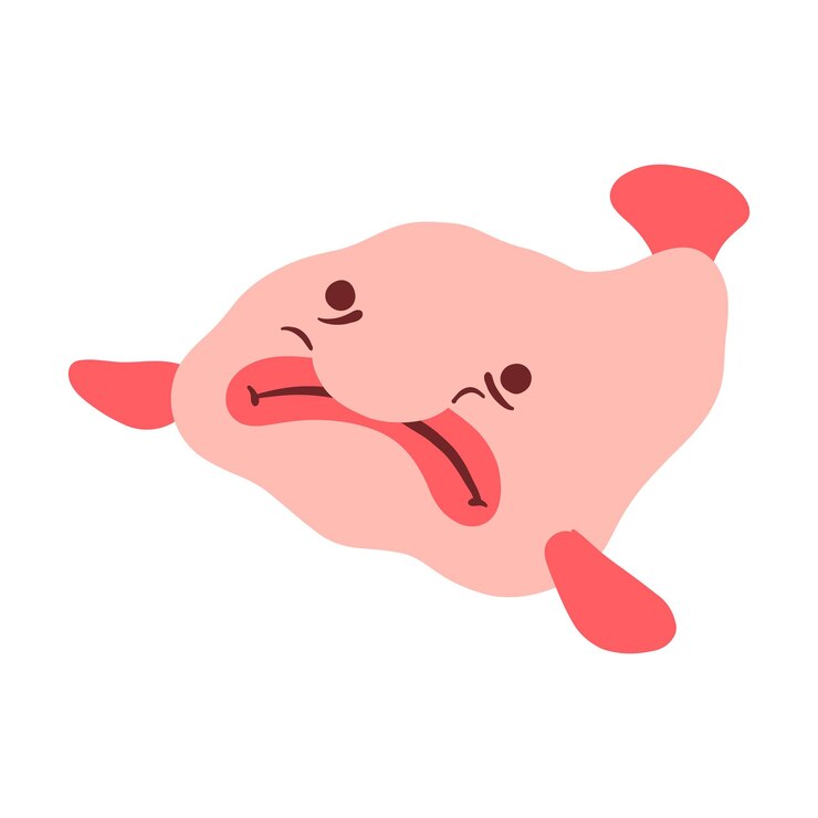 El elemento Blobfish dibujado a mano.