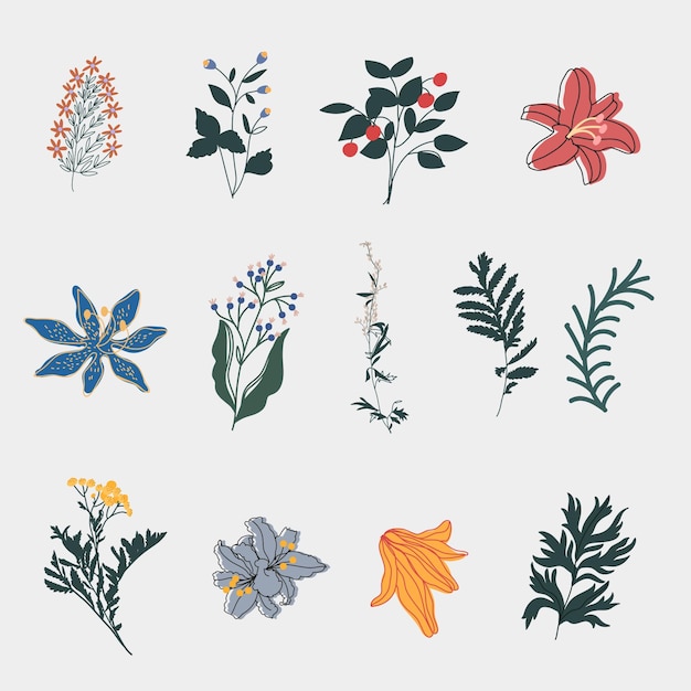 Elemento de la colección de paquetes planos dibujados a mano naturaleza tropical ornamento botánico lindo estilo minimalista