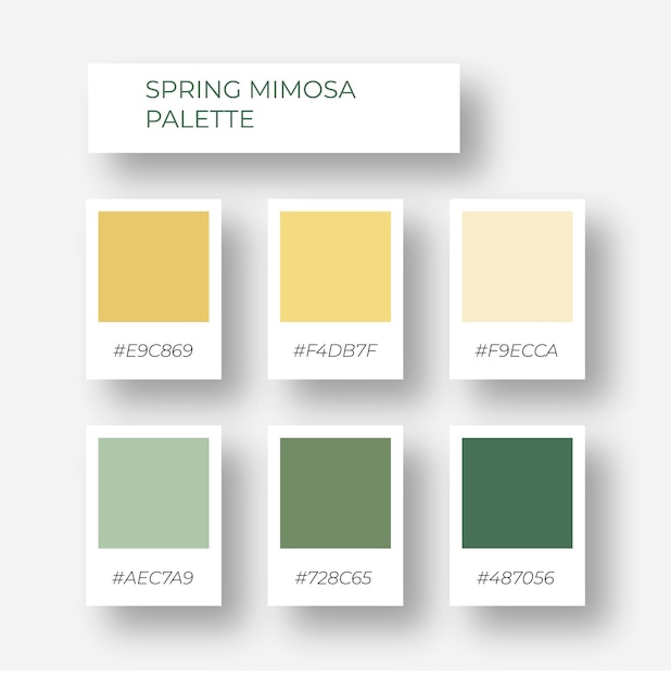 elemento de color Paleta de colores de moda. Paleta de colores acogedora. Swatch tono de sombra de verano con código hexadecimal.