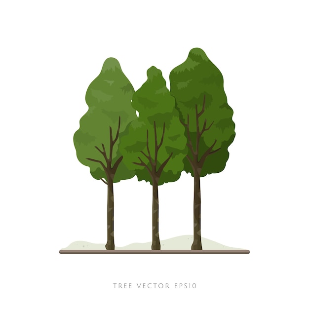 Elemento de decoración de paisaje de vector de ilustración de planta ornamental