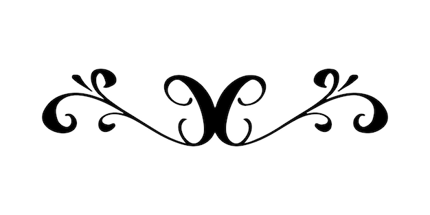 Elemento decorativo vintage Ilustración vectorial dibujada a mano para diseño y decoración División vintage