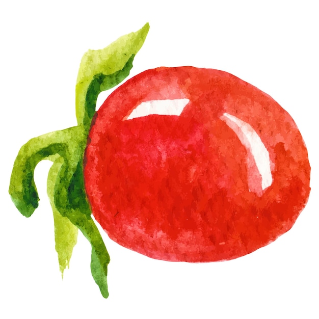 Elemento de diseño de alimentos frescos dibujados a mano aislados sobre un fondo blanco