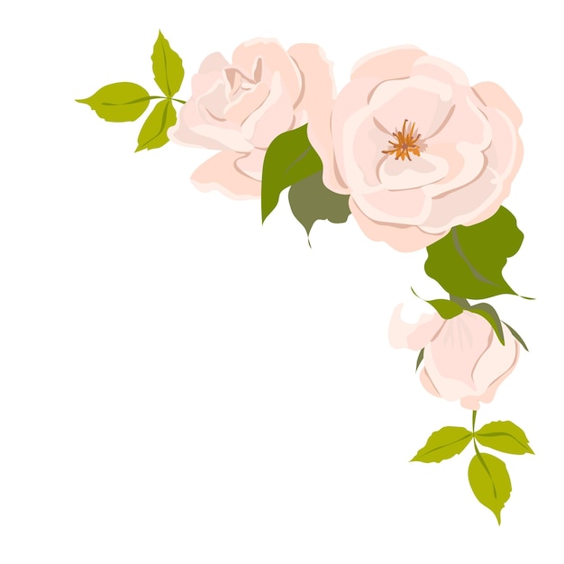 Vector elemento de diseño de composición de esquina de ramo de vector de flor rosa aislado sobre fondo blanco rosas blancas y crema en estilo plano elemento para el diseño de invitaciones de boda