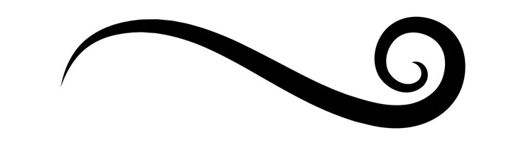 Vector elemento de diseño decorativo de remolino de caligrafía