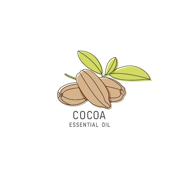 Elemento de diseño de empaque vectorial e ícono en aceite de cacao de estilo lineal comida vegana saludable Signo de logotipo