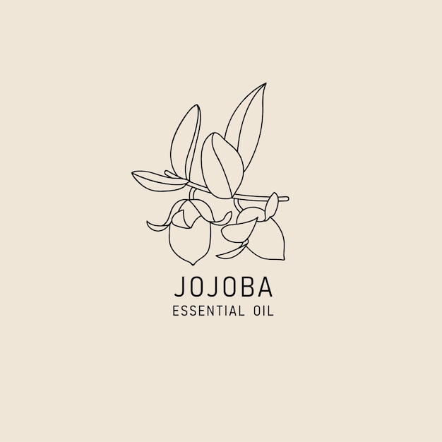 Elemento de diseño de empaque vectorial e ícono en estilo lineal aceite de jojoba comida vegana saludable Signo de logotipo