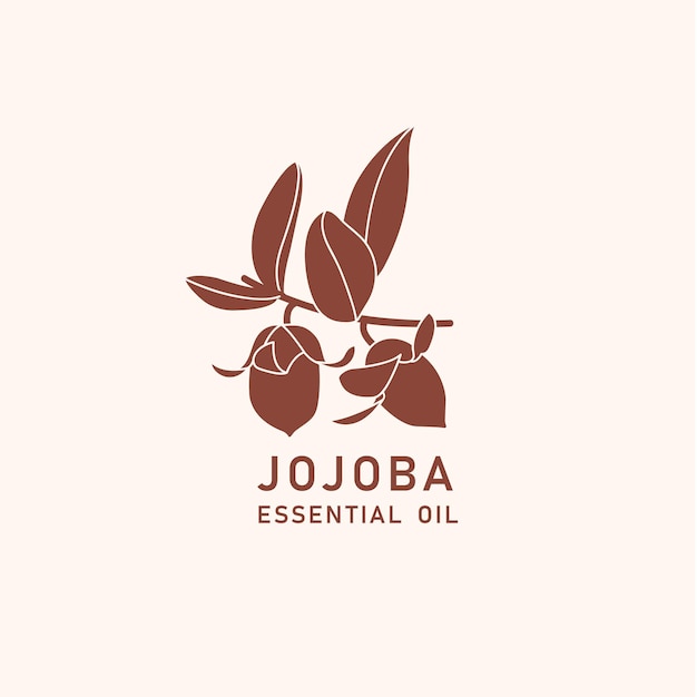 Elemento de diseño de empaque vectorial e ícono en estilo lineal aceite de jojoba comida vegana saludable signo de logotipo