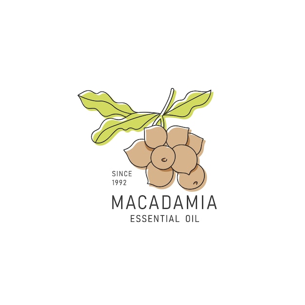 Elemento de diseño de empaque vectorial e ícono en estilo lineal aceite de macadamia comida vegana saludable Signo de logotipo
