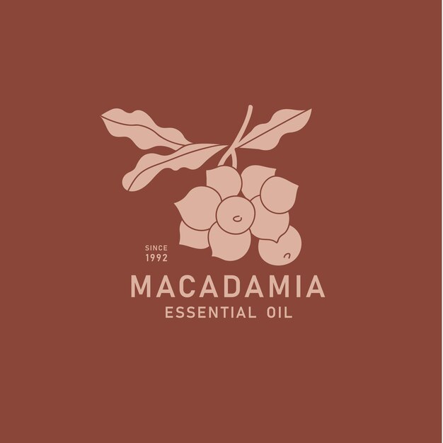 Elemento de diseño de empaque vectorial e ícono en estilo lineal aceite de macadamia comida vegana saludable signo de logotipo