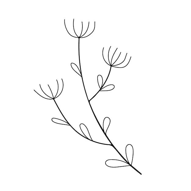 Elemento de diseño floral dibujado a mano