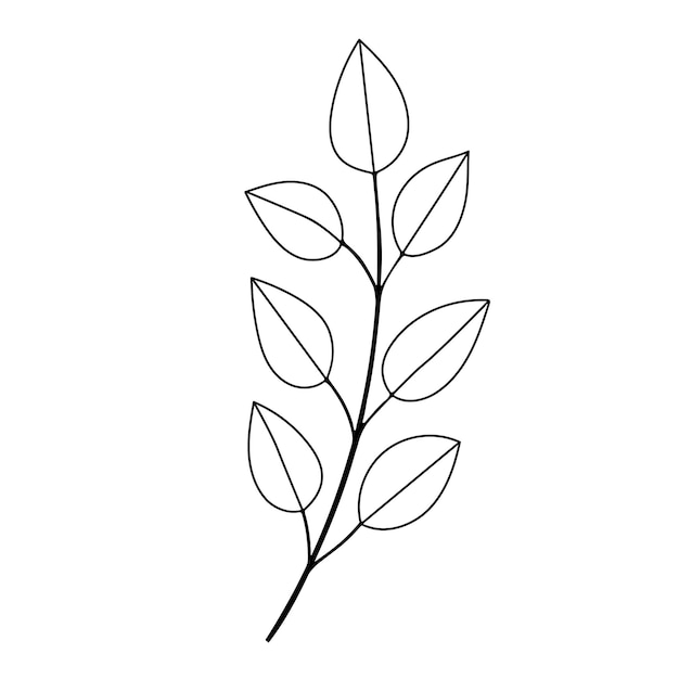 Elemento de diseño floral dibujado a mano