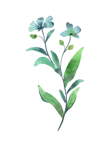 Elemento de diseño de flores de campo aislado de flores silvestres